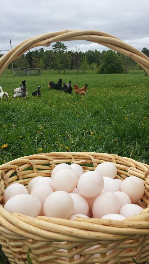 The Ugly Barn Farm